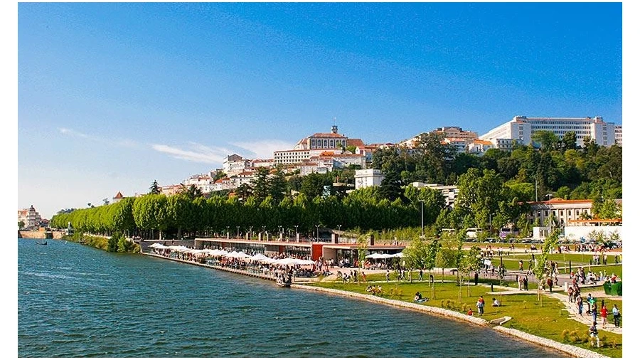 Terreno para Venda em Cernache Foto 6