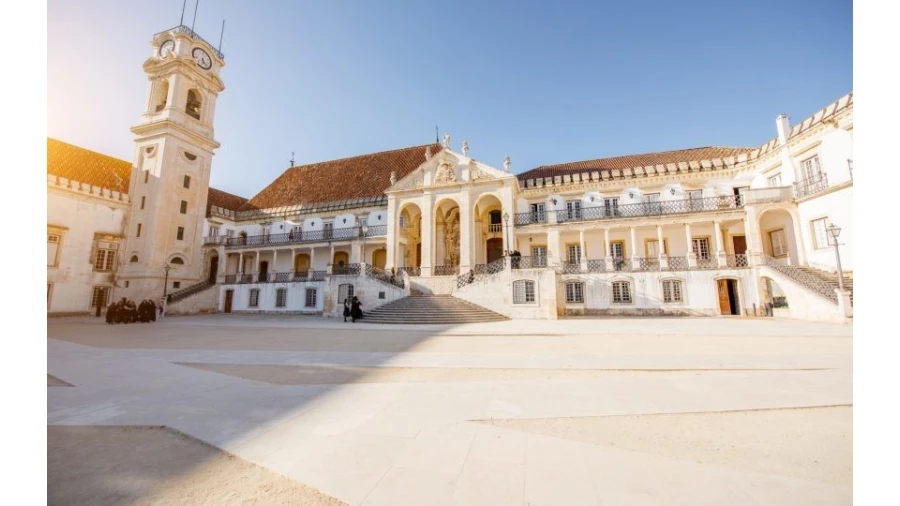 Terreno para Venda em Cernache Foto 13
