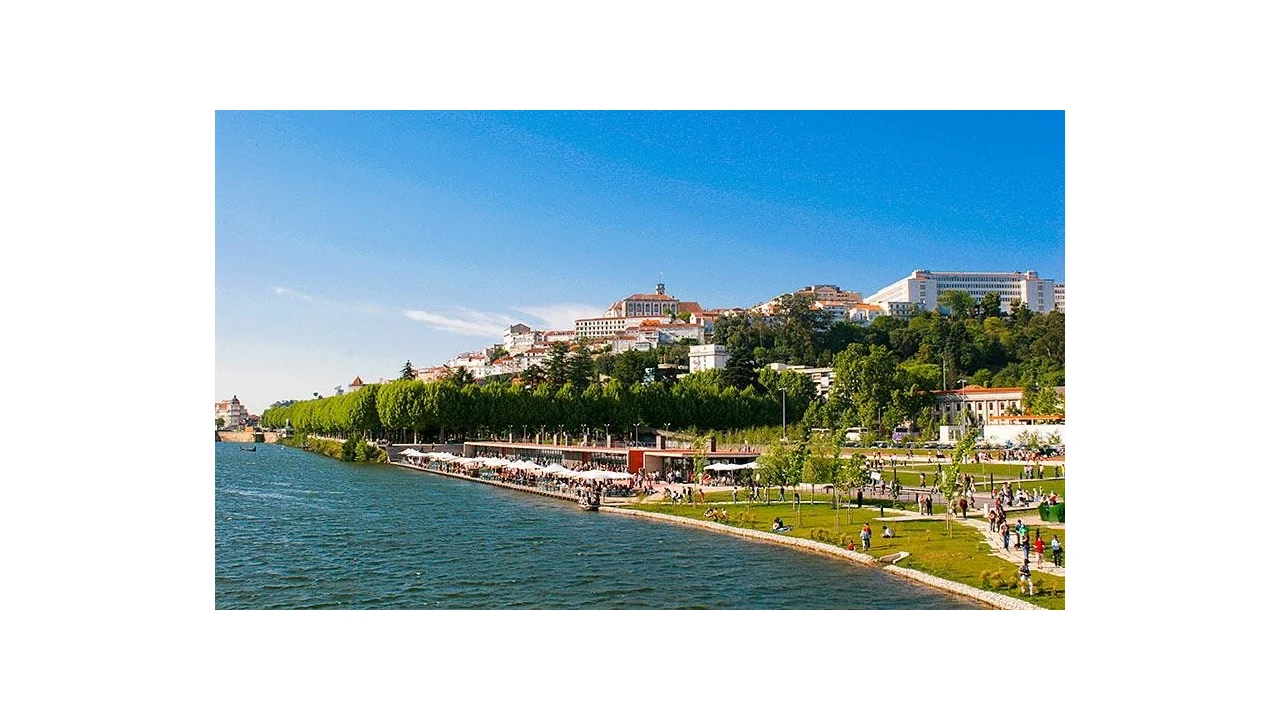 Terreno para Venda em Cernache Foto 6