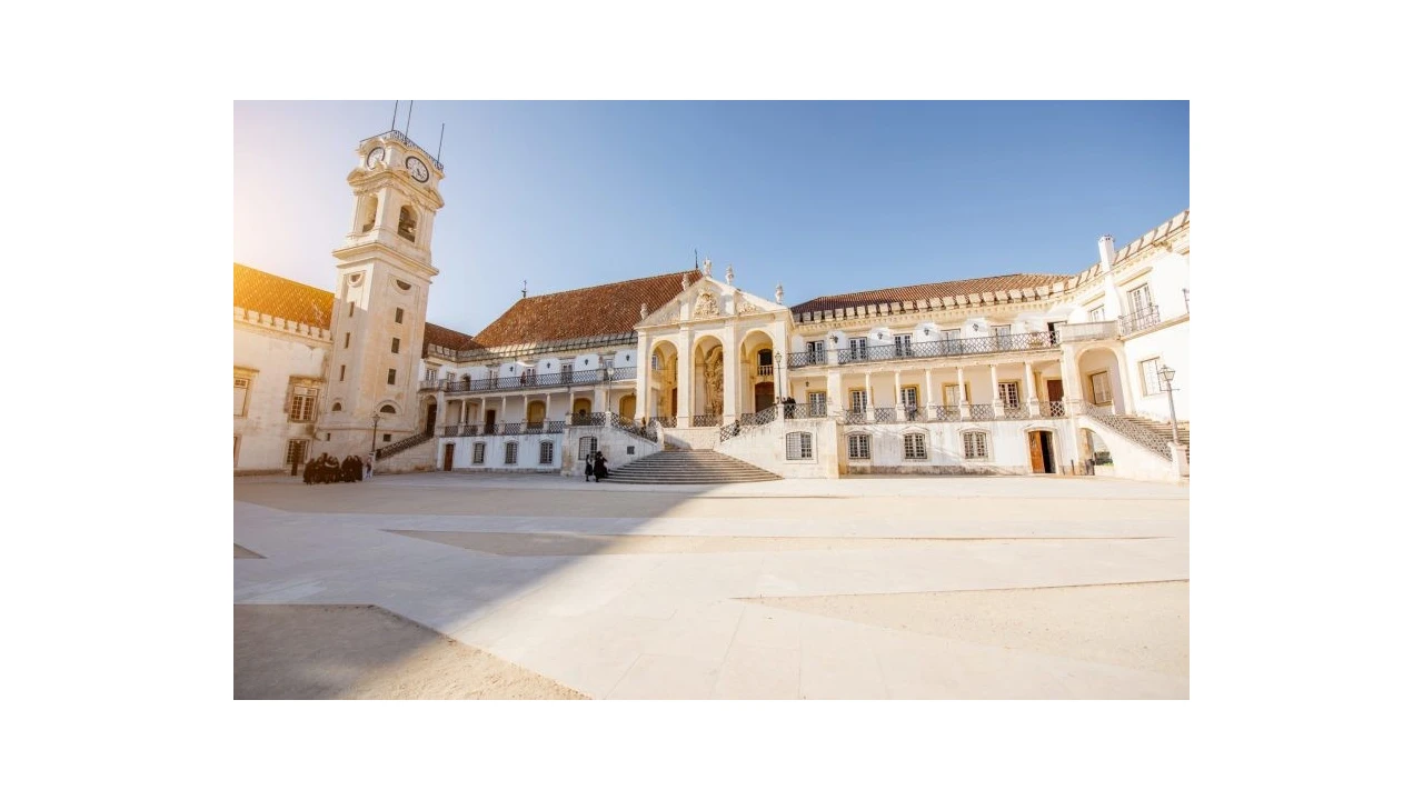 Terreno para Venda em Cernache Foto 13