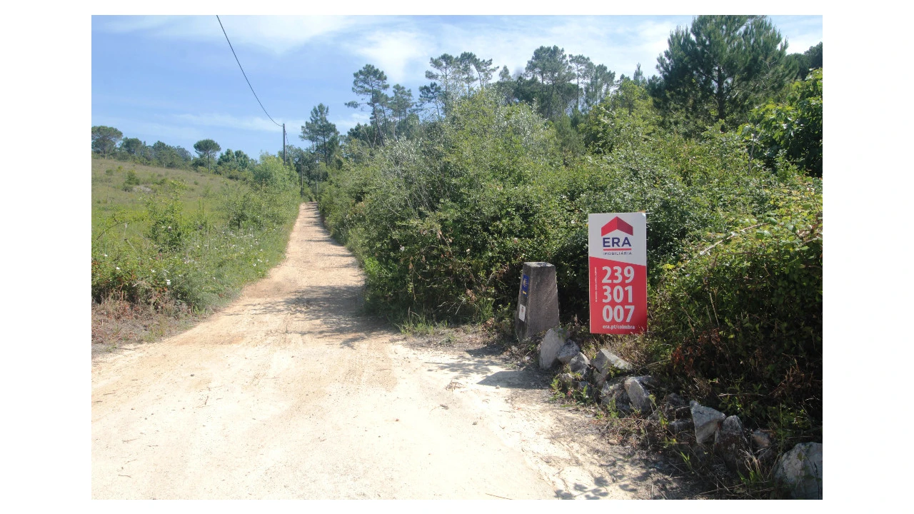 Terreno para Venda em Cernache Foto 1