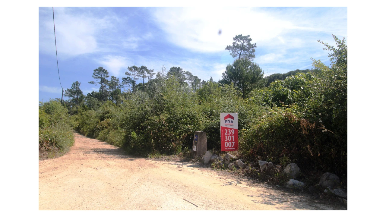 Terreno para Venda em Cernache Foto 2