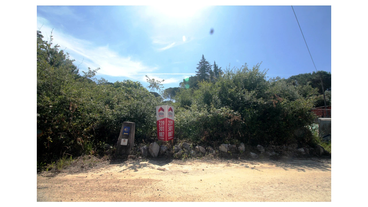 Terreno para Venda em Cernache Foto 4