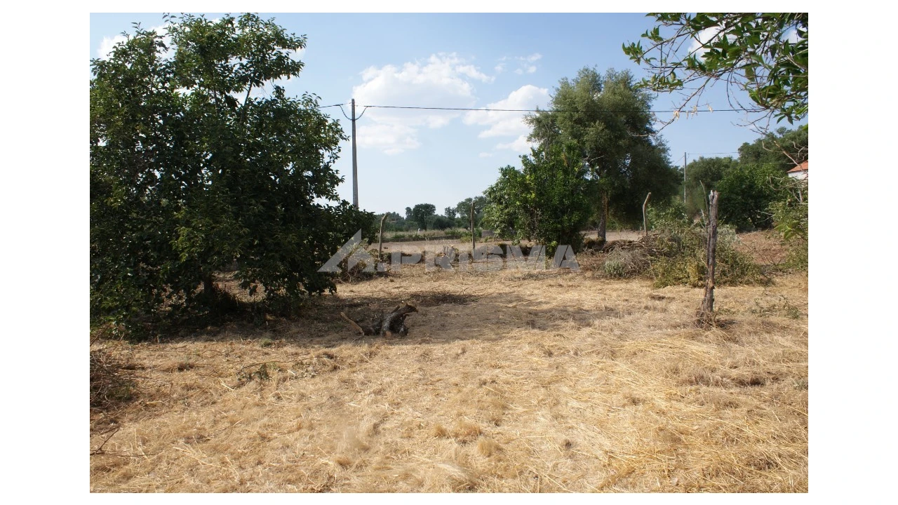 Quinta para Venda em Pedrógão de São Pedro e Bemposta Foto 8
