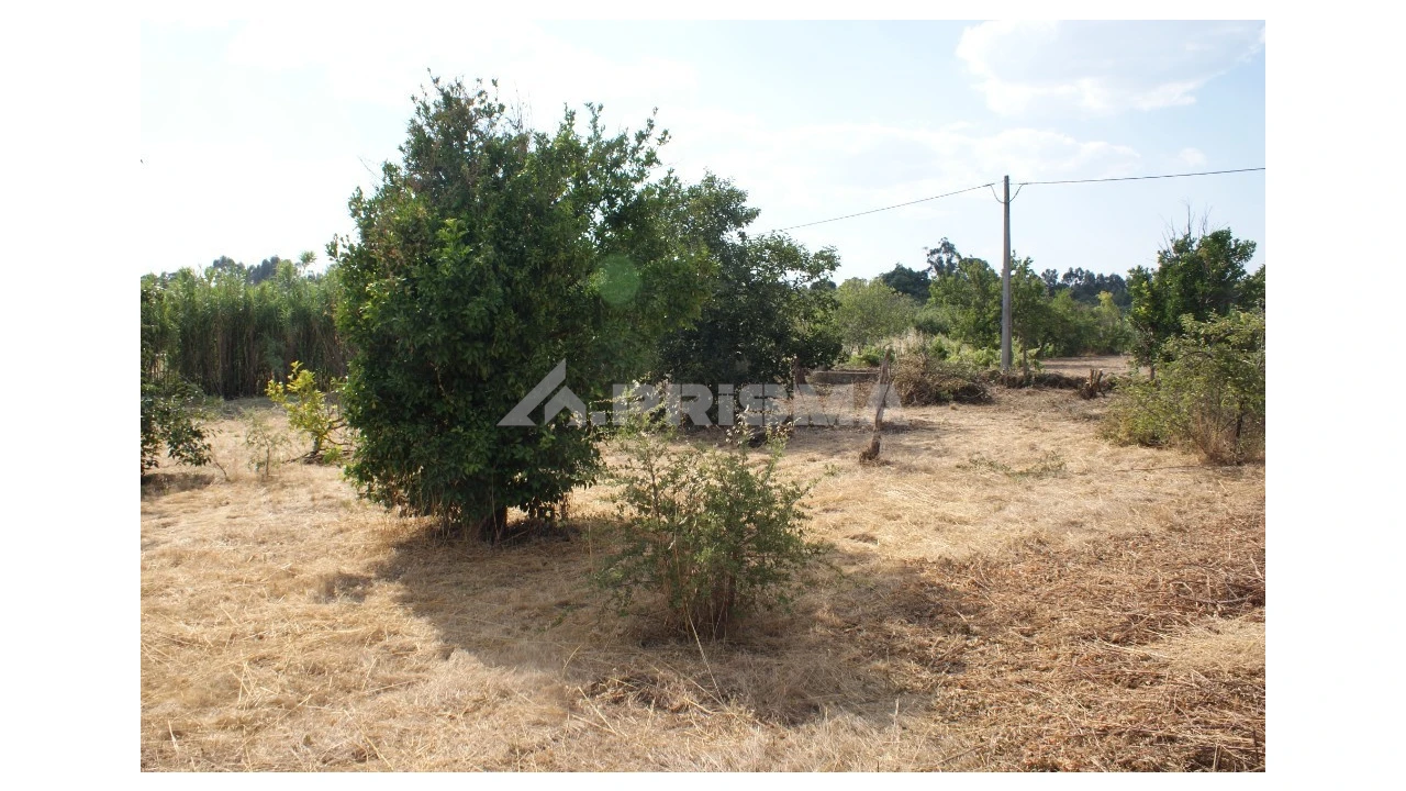 Quinta para Venda em Pedrógão de São Pedro e Bemposta Foto 6