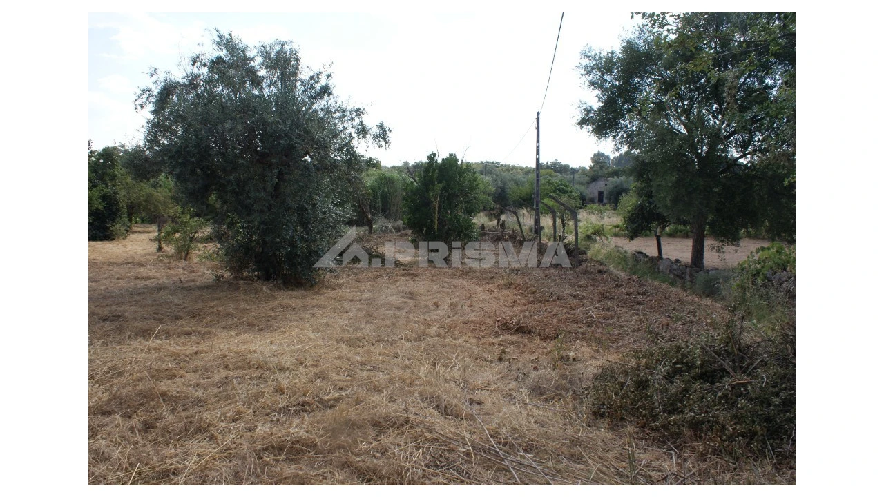 Quinta para Venda em Pedrógão de São Pedro e Bemposta Foto 21