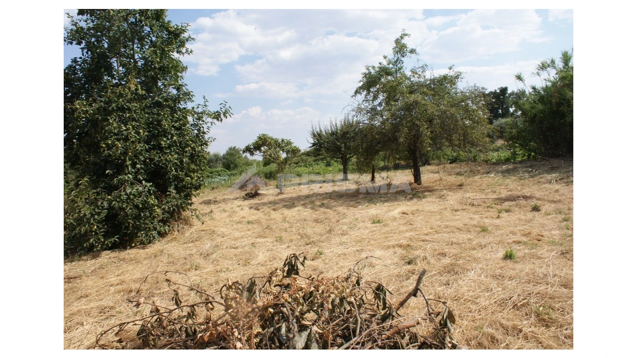 Quinta para Venda em Pedrógão de São Pedro e Bemposta Foto 10