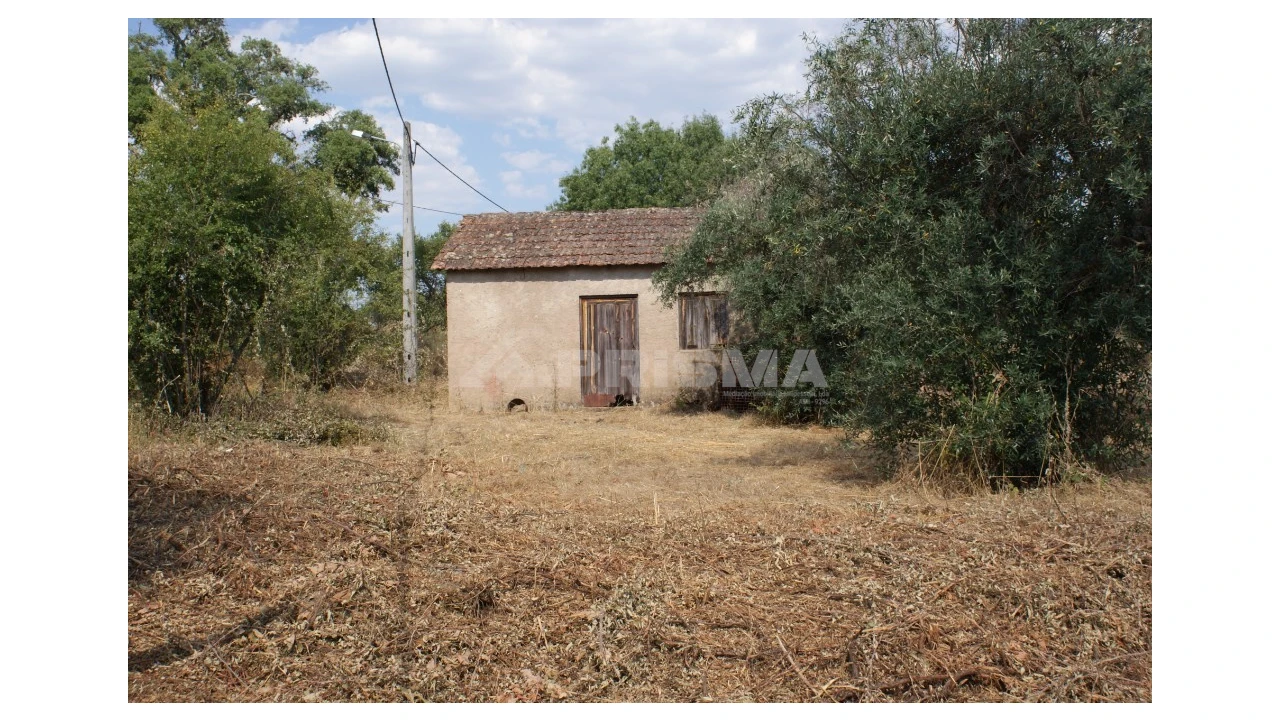 Quinta para Venda em Pedrógão de São Pedro e Bemposta Foto 16