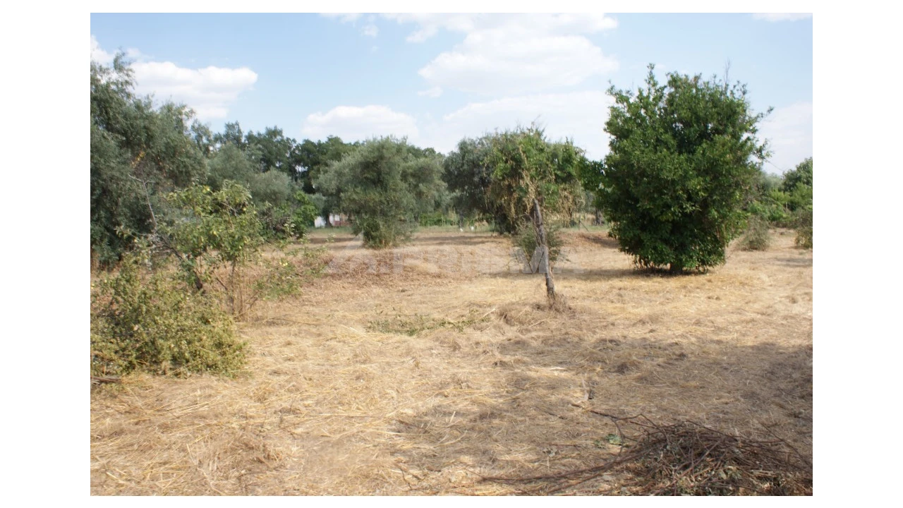 Quinta para Venda em Pedrógão de São Pedro e Bemposta Foto 14