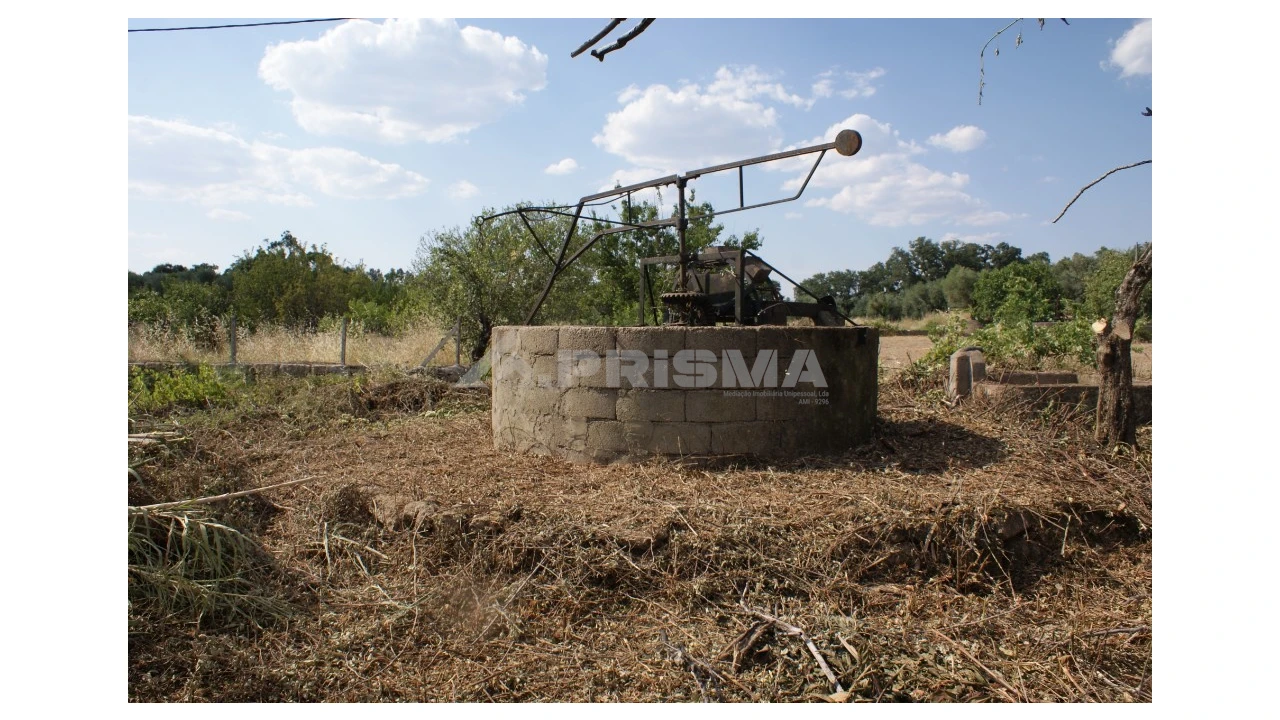 Quinta para Venda em Pedrógão de São Pedro e Bemposta Foto 11