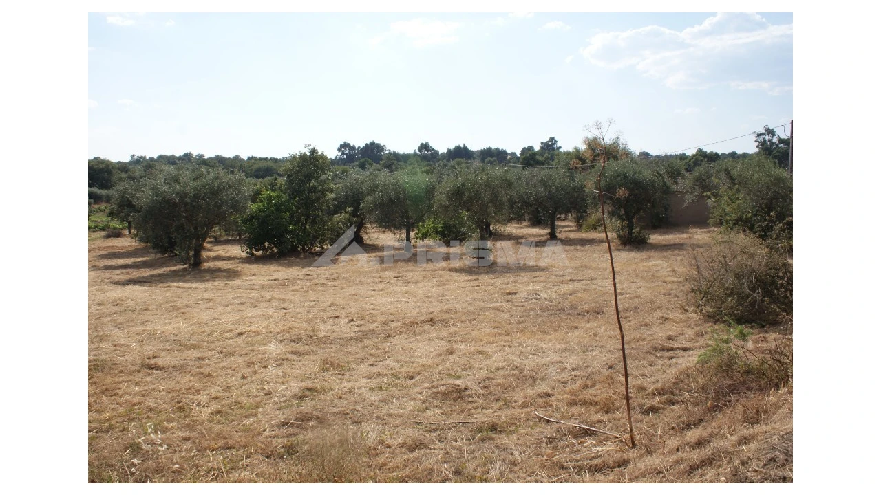 Quinta para Venda em Pedrógão de São Pedro e Bemposta Foto 26