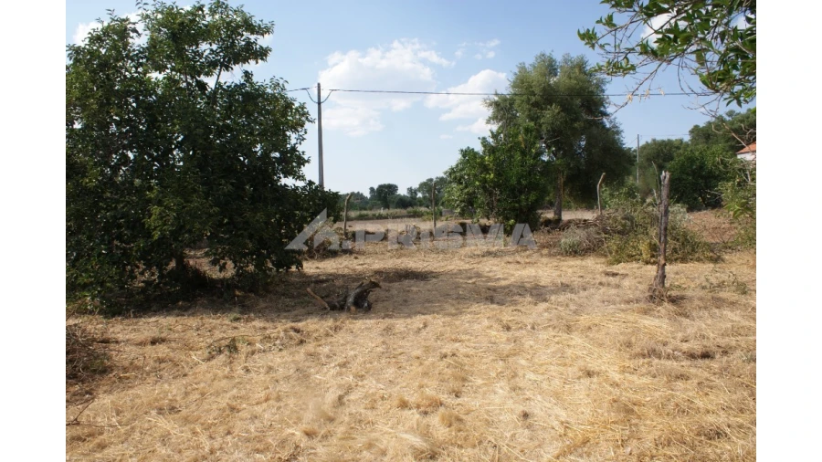 Quinta para Venda em Pedrógão de São Pedro e Bemposta Foto 8