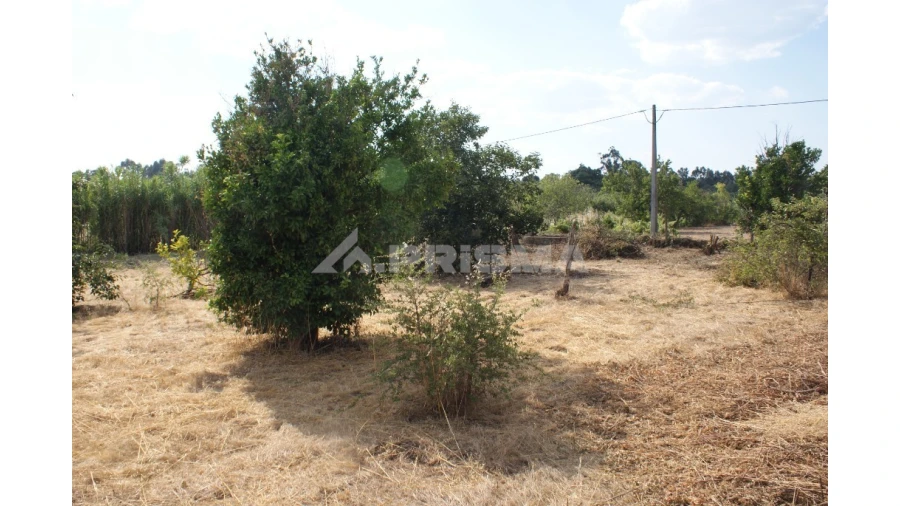 Quinta para Venda em Pedrógão de São Pedro e Bemposta Foto 6