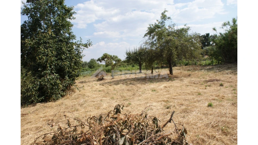 Quinta para Venda em Pedrógão de São Pedro e Bemposta Foto 10