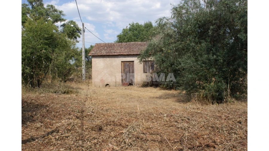 Quinta para Venda em Pedrógão de São Pedro e Bemposta Foto 16