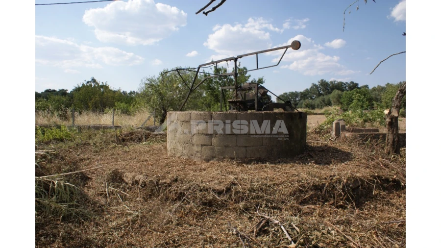 Quinta para Venda em Pedrógão de São Pedro e Bemposta Foto 11