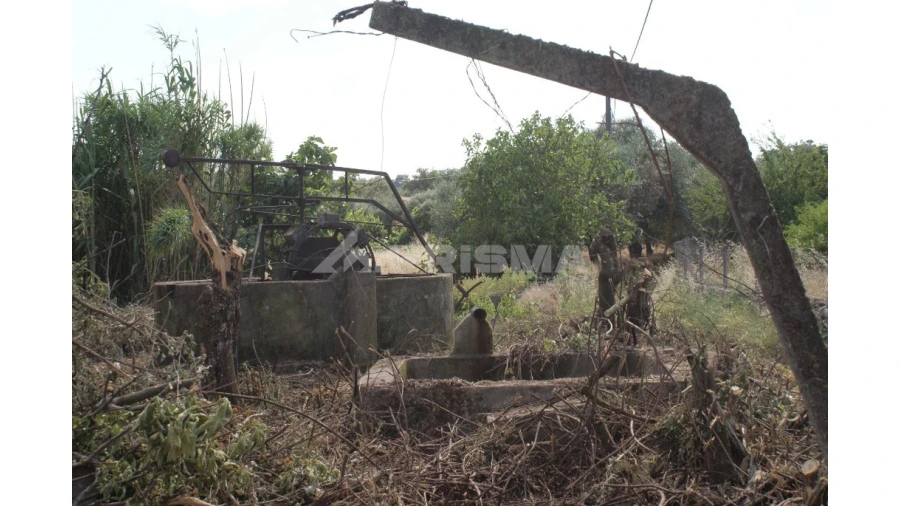 Quinta para Venda em Pedrógão de São Pedro e Bemposta Foto 15