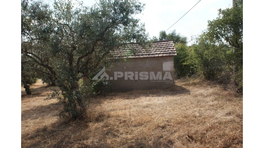 Quinta para Venda em Pedrógão de São Pedro e Bemposta Foto 23