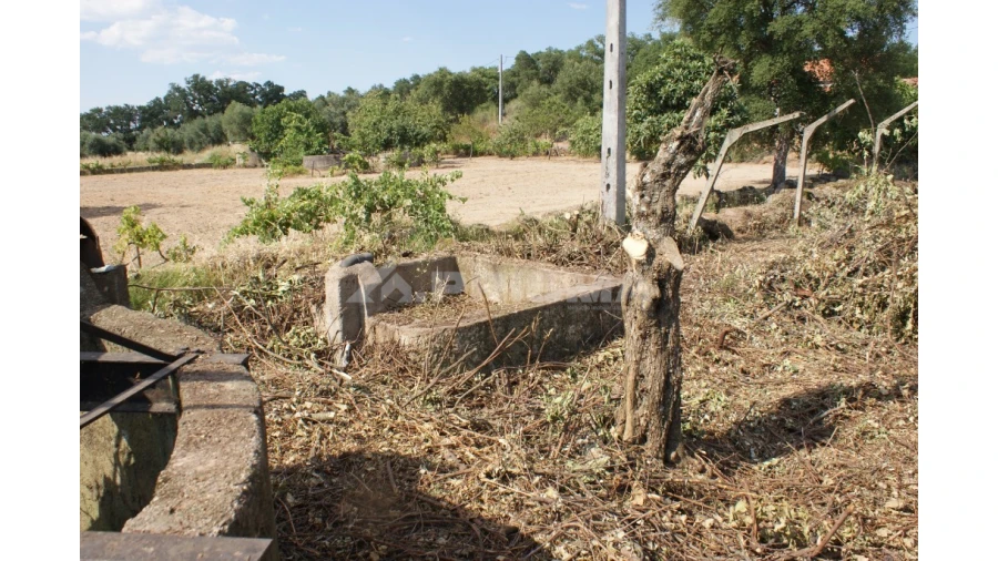 Quinta para Venda em Pedrógão de São Pedro e Bemposta Foto 12