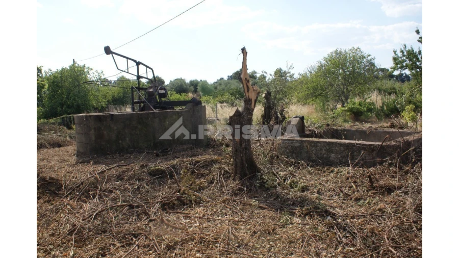 Quinta para Venda em Pedrógão de São Pedro e Bemposta Foto 13