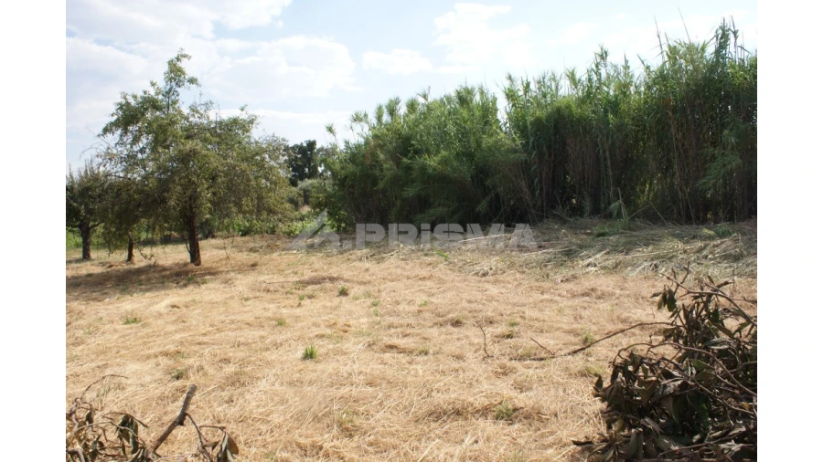 Quinta para Venda em Pedrógão de São Pedro e Bemposta Foto 9