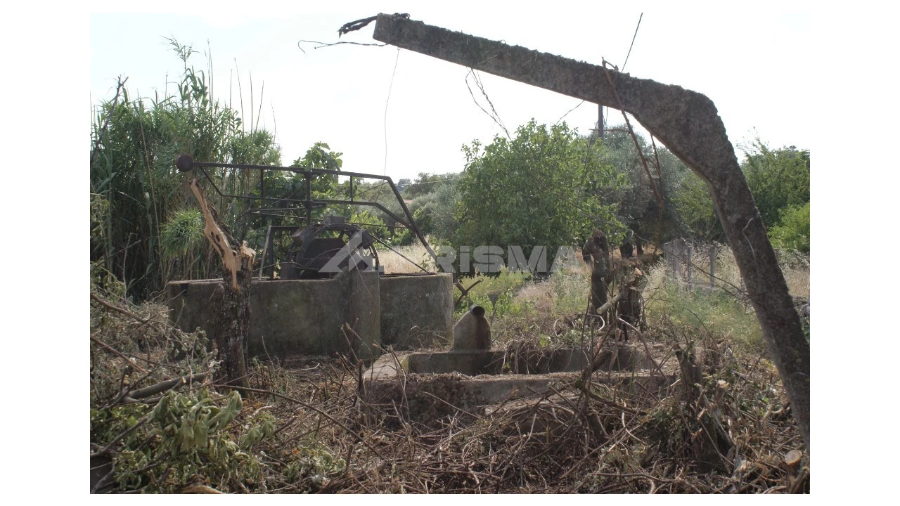 Quinta para Venda em Pedrógão de São Pedro e Bemposta Foto 15
