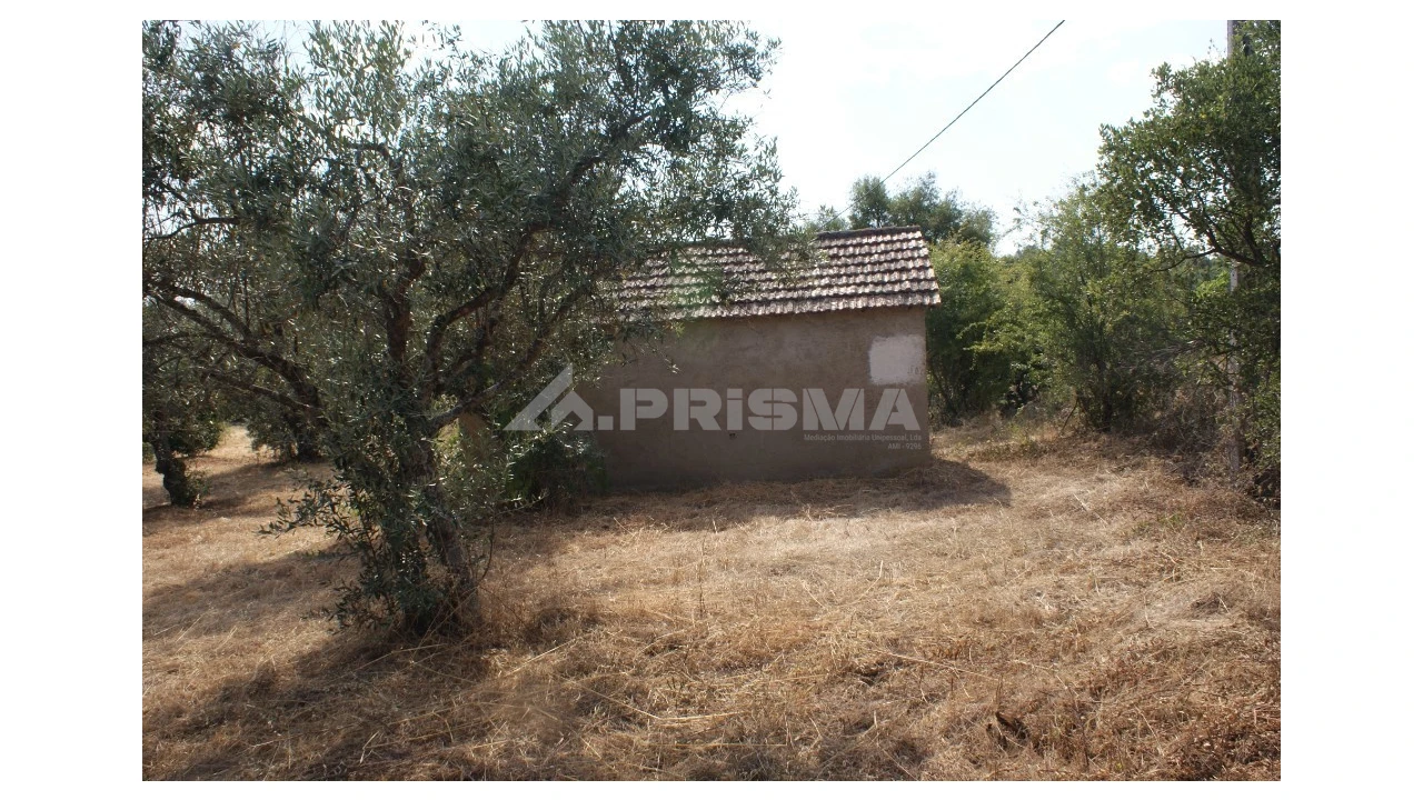 Quinta para Venda em Pedrógão de São Pedro e Bemposta Foto 23