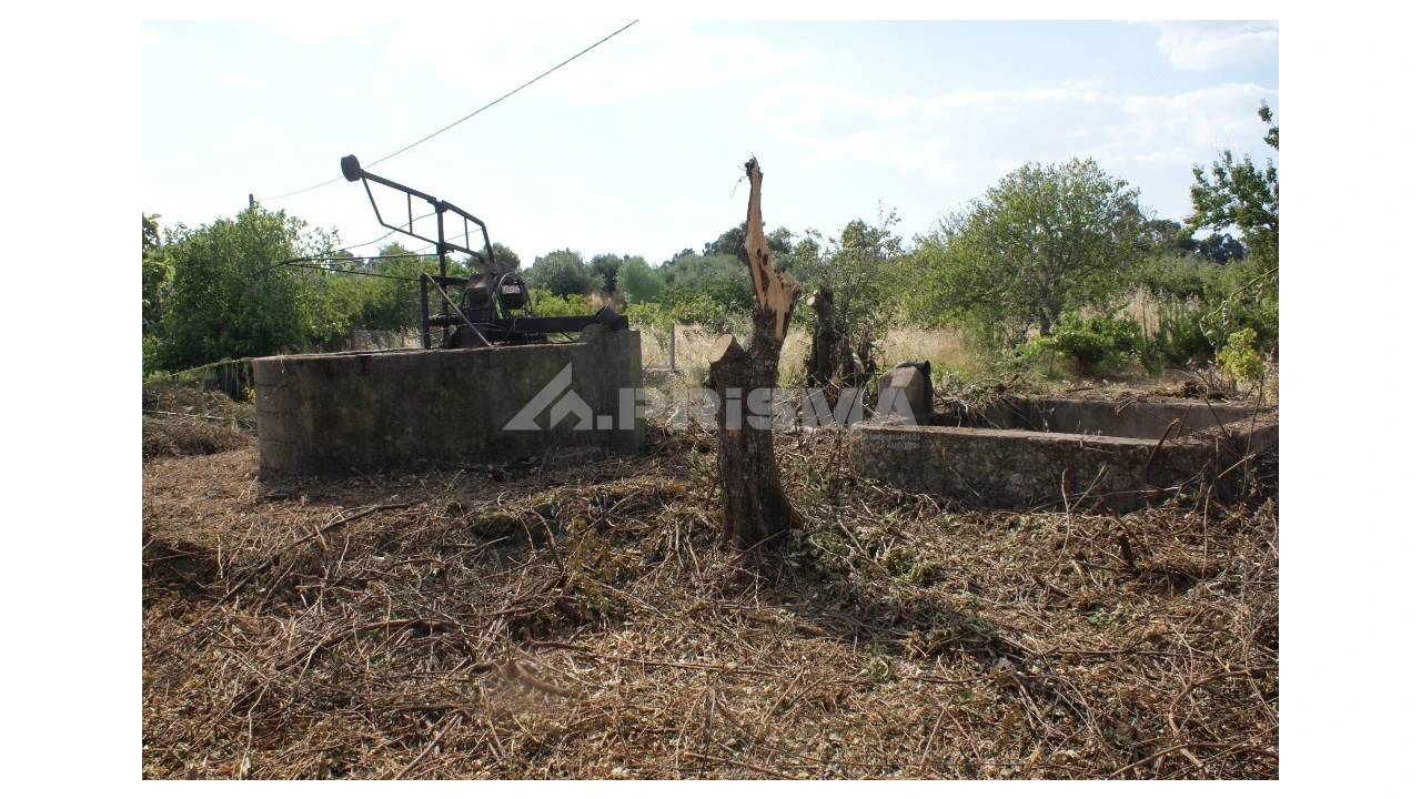 Quinta para Venda em Pedrógão de São Pedro e Bemposta Foto 13