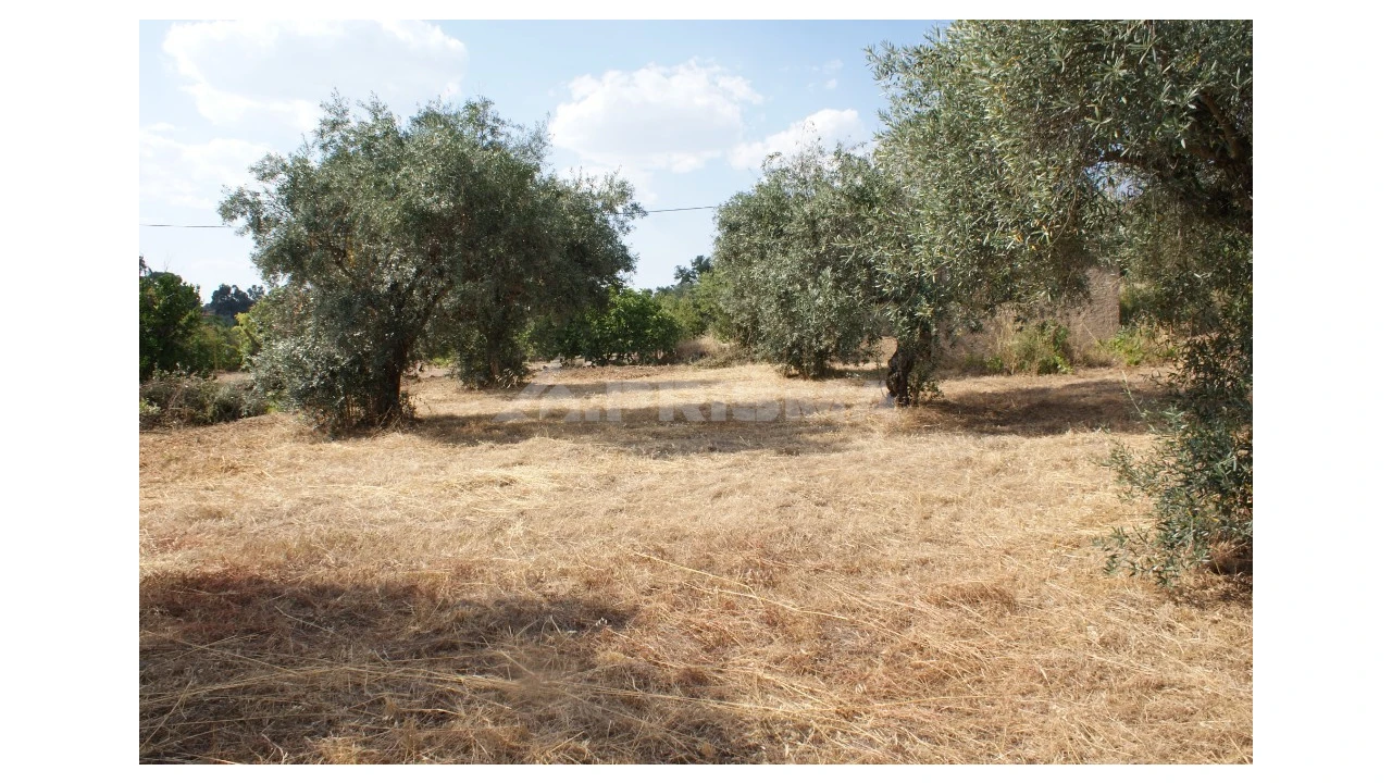 Quinta para Venda em Pedrógão de São Pedro e Bemposta Foto 5