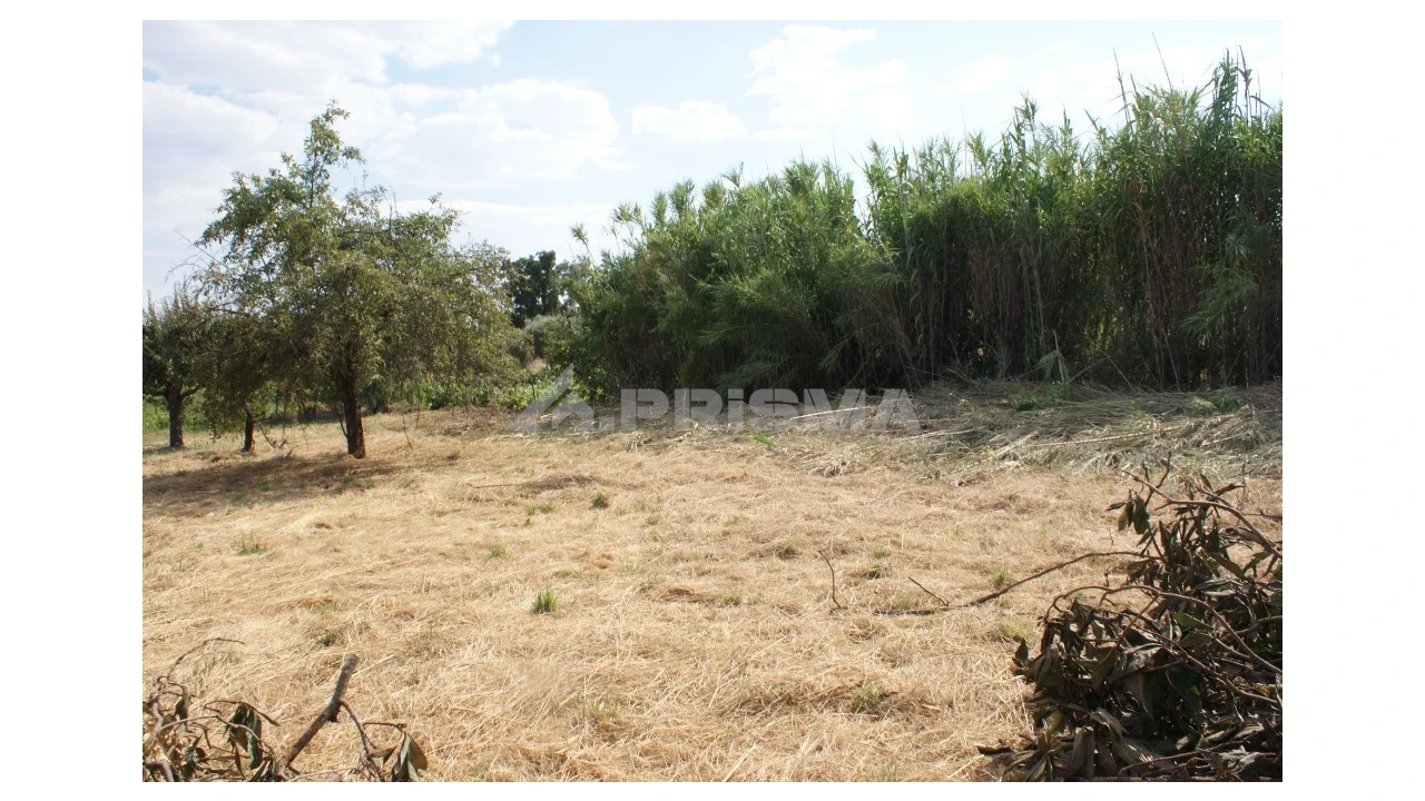 Quinta para Venda em Pedrógão de São Pedro e Bemposta Foto 9