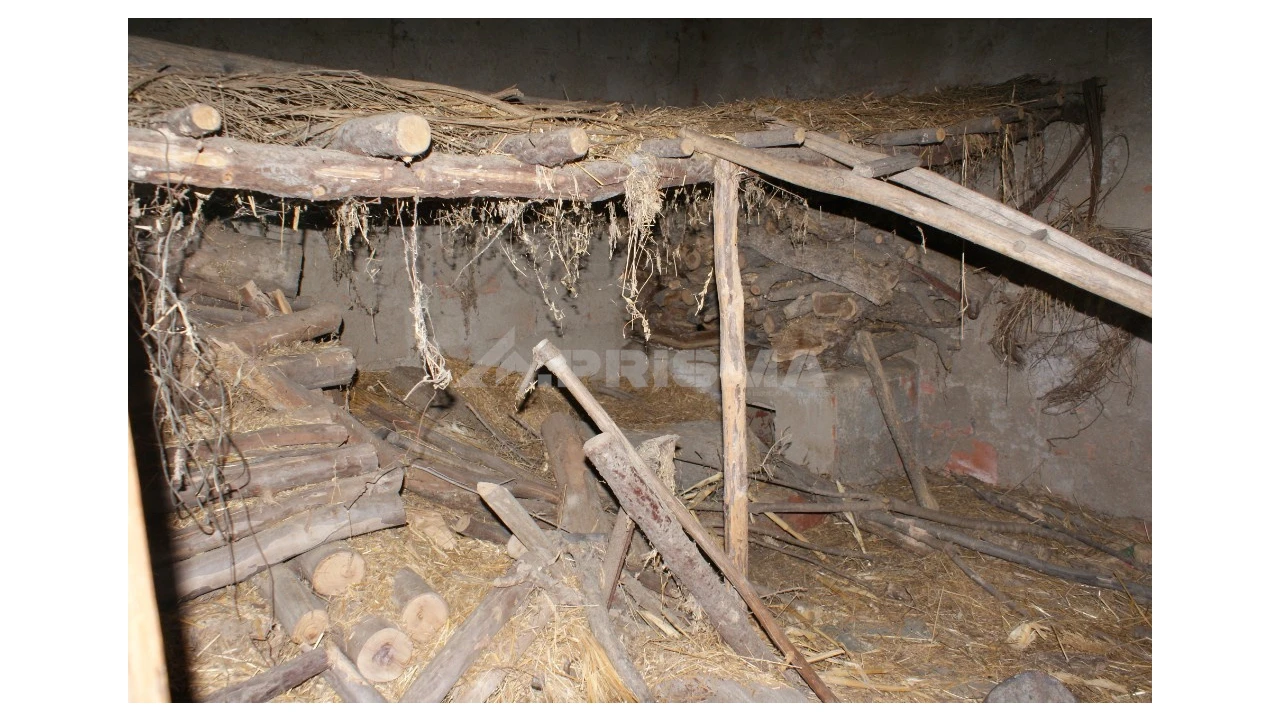 Quinta para Venda em Pedrógão de São Pedro e Bemposta Foto 19