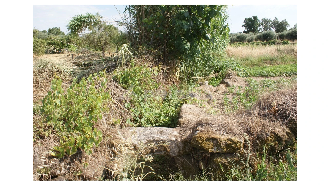 Quinta para Venda em Pedrógão de São Pedro e Bemposta Foto 24