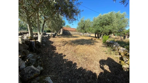 Terreno para Venda em São Miguel, Santa Eufémia e Rabaçal