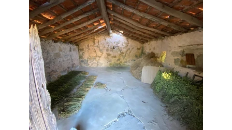 Terreno para Venda em São Miguel, Santa Eufémia e Rabaçal