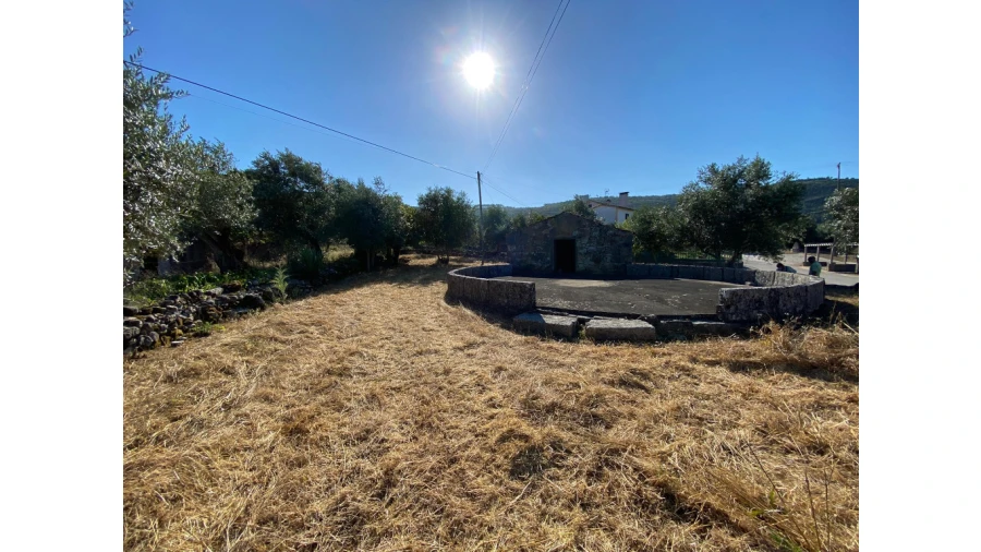 Terreno para Venda em São Miguel, Santa Eufémia e Rabaçal