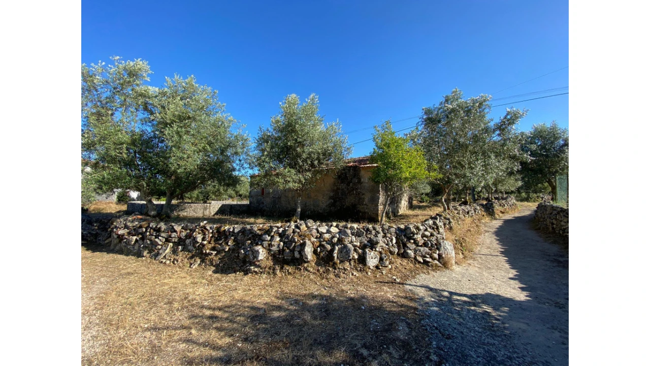 Terreno para Venda em São Miguel, Santa Eufémia e Rabaçal Foto 6