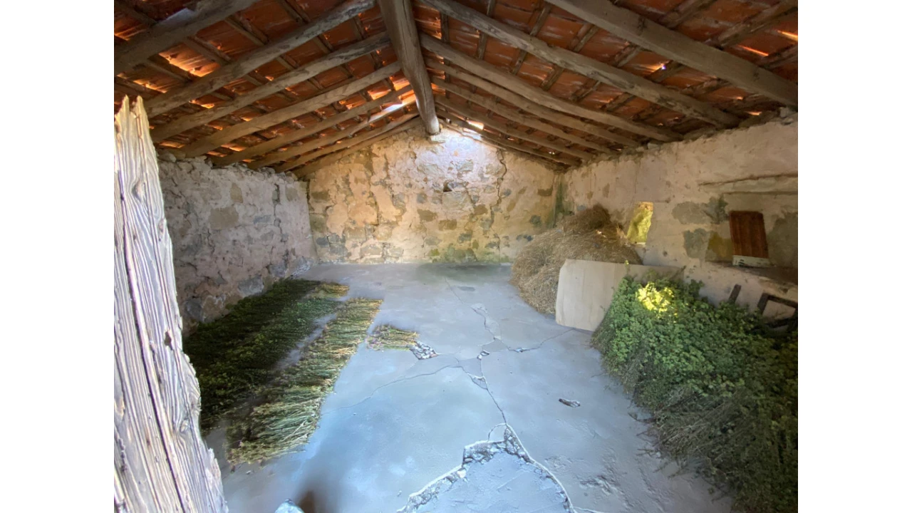 Terreno para Venda em São Miguel, Santa Eufémia e Rabaçal Foto 5