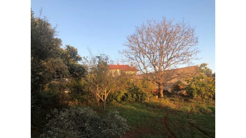Terreno para Venda em Cernache
