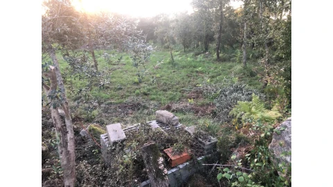 Terreno para Venda em Cernache