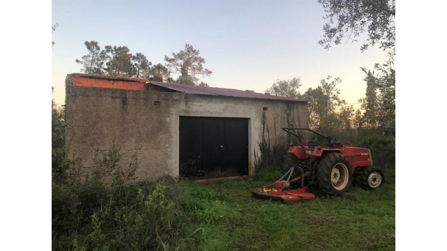 Terreno para Venda em Cernache Foto 4