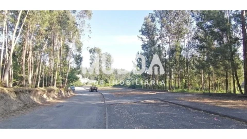 Terreno para Venda em Pinheiro da Bemposta, Travanca e Palmaz