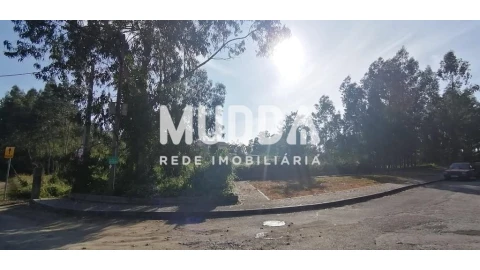 Terreno para Venda em Pinheiro da Bemposta, Travanca e Palmaz
