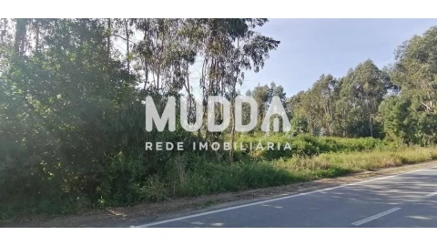 Terreno para Venda em Pinheiro da Bemposta, Travanca e Palmaz