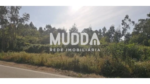 Terreno para Venda em Pinheiro da Bemposta, Travanca e Palmaz