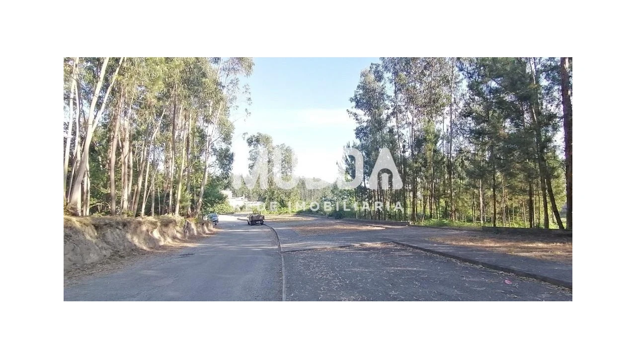 Terreno para Venda em Pinheiro da Bemposta, Travanca e Palmaz Foto 5