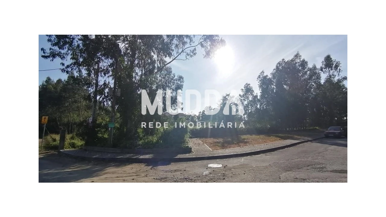 Terreno para Venda em Pinheiro da Bemposta, Travanca e Palmaz Foto 3