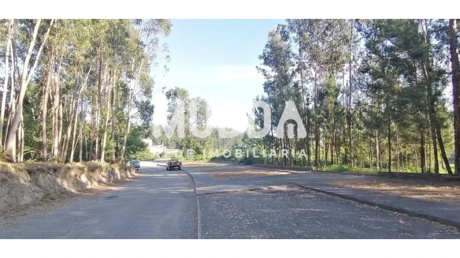 Terreno para Venda em Pinheiro da Bemposta, Travanca e Palmaz Foto 5