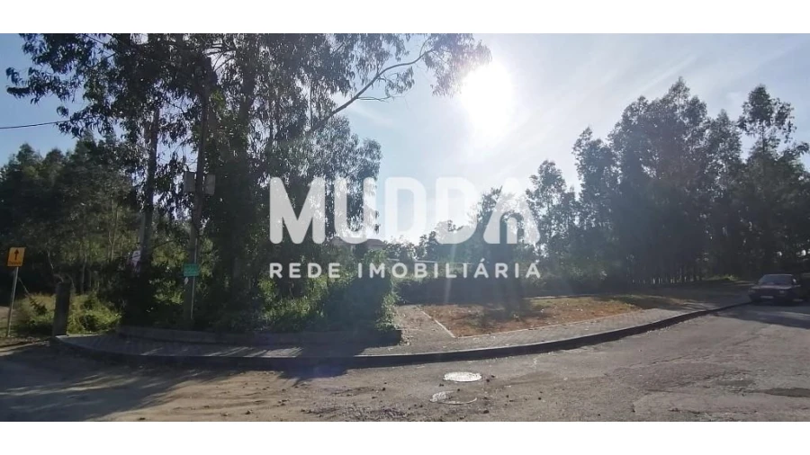 Terreno para Venda em Pinheiro da Bemposta, Travanca e Palmaz Foto 3