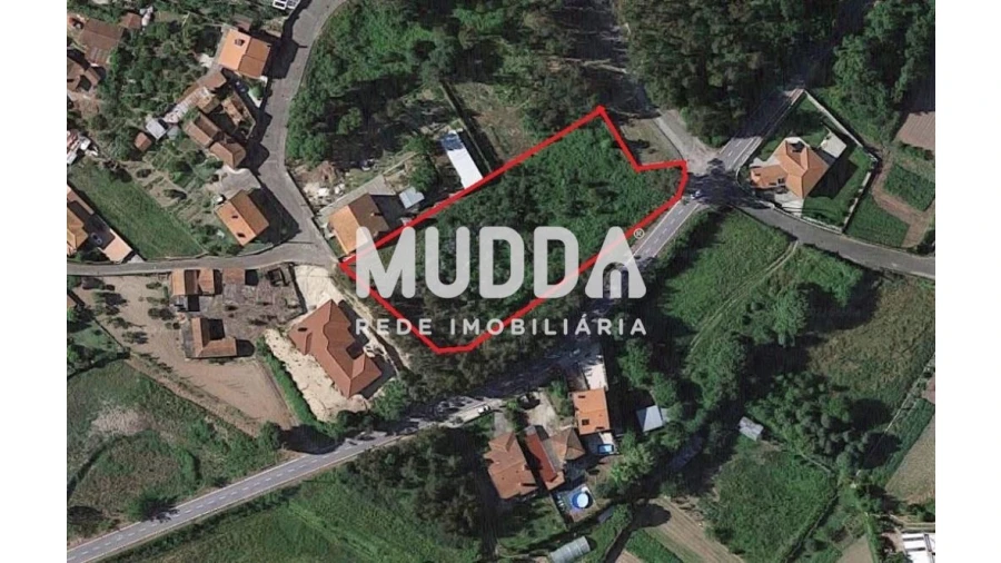 Terreno para Venda em Pinheiro da Bemposta, Travanca e Palmaz Foto 6