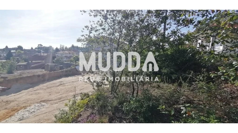 Terreno para Venda em Pinheiro da Bemposta, Travanca e Palmaz Foto 4